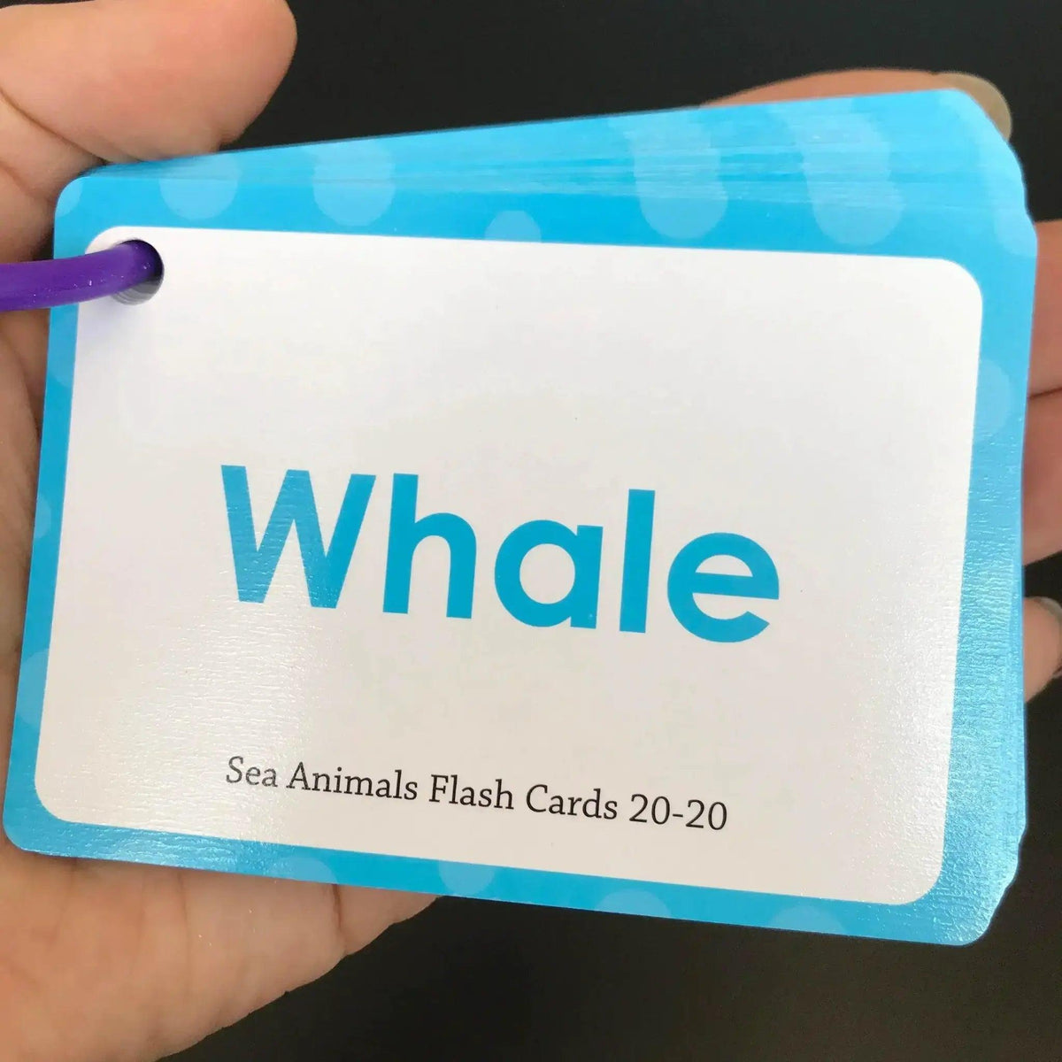  Baby Montessori Learn English Word Cards For Toddlers ABC Numbers Fruits Animals Body Parts Flashcards -  ToylandEU™