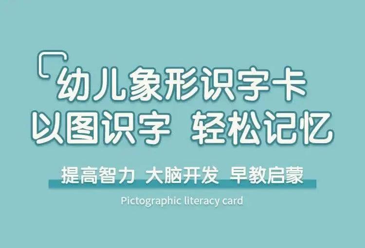  Characters Picture Enlightenment Double Literacy Card Children's Kindergarten Chinese Pinyin Hanzi Learning Age -  ToylandEU™