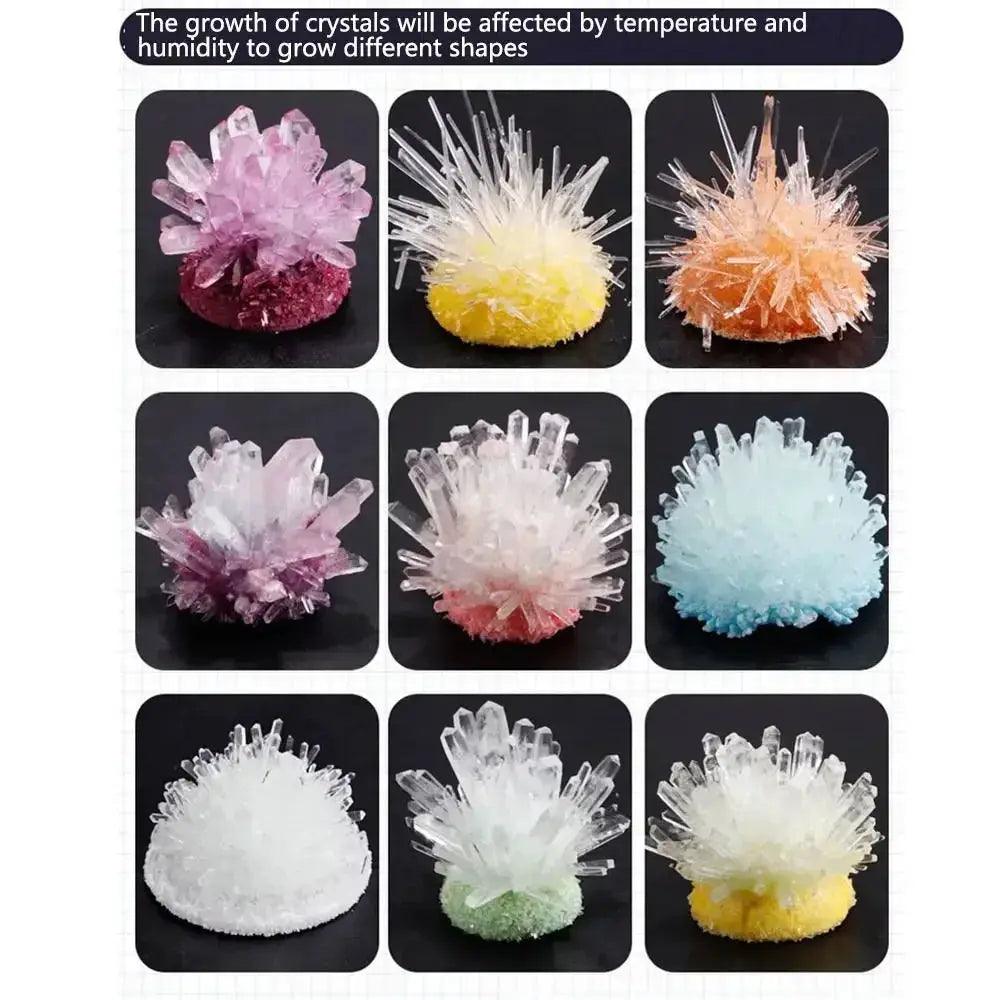  Crystal Growing Kit For Kids With Colorful Display Case -  ToylandEU™
