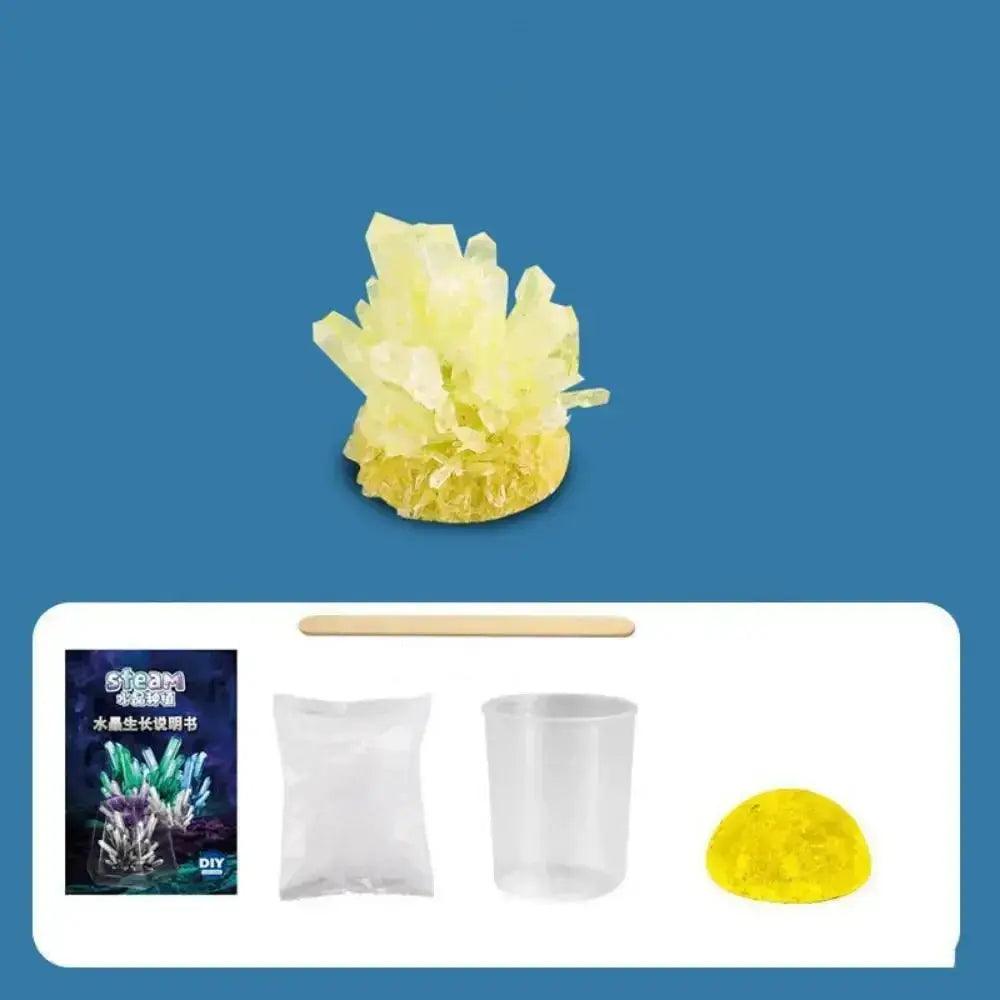  Crystal Growing Kit For Kids With Colorful Display Case -  ToylandEU™