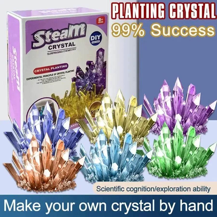  Crystal Planting Experiments Science and Education Toys DIY Growable Crystals Color Random Christmas and Halloween Gifts -  ToylandEU™
