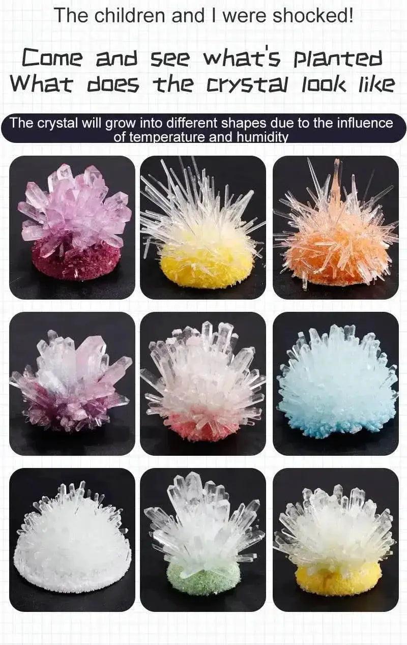  Crystal Planting Experiments Science and Education Toys DIY Growable Crystals Color Random Christmas and Halloween Gifts -  ToylandEU™