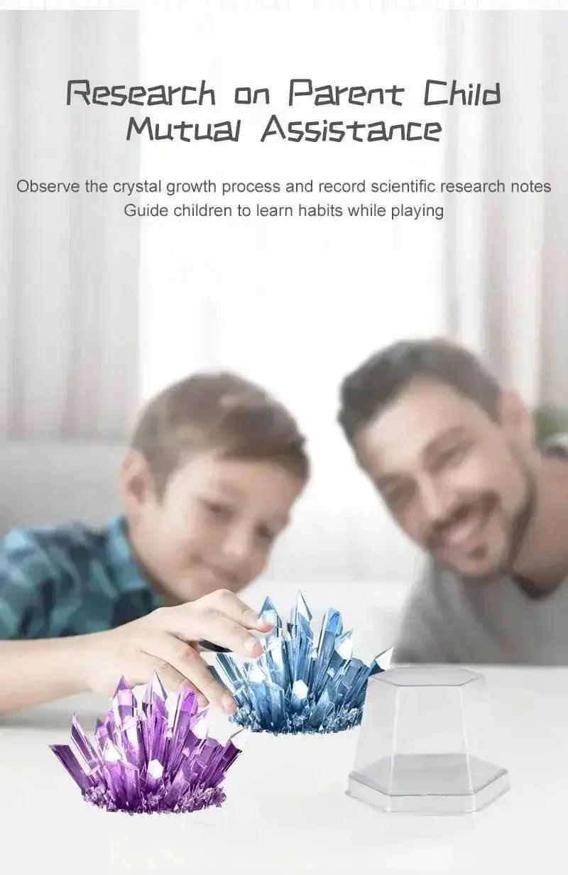  Crystal Planting Experiments Science and Education Toys DIY Growable Crystals Color Random Christmas and Halloween Gifts -  ToylandEU™