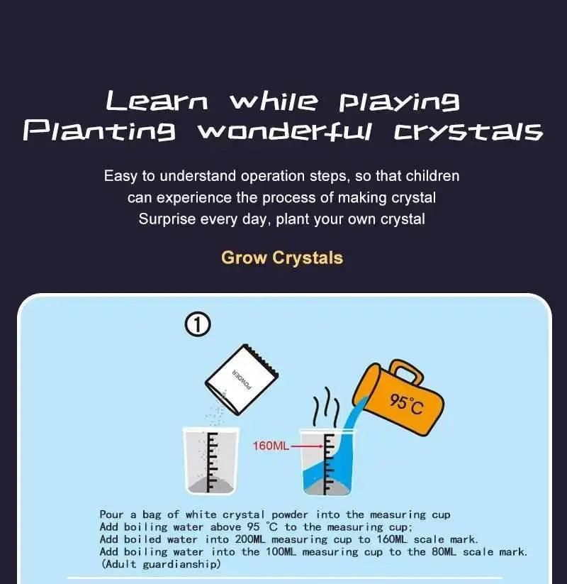 Crystal Planting Experiments Science and Education Toys DIY Growable Crystals Color Random Christmas and Halloween Gifts -  ToylandEU™