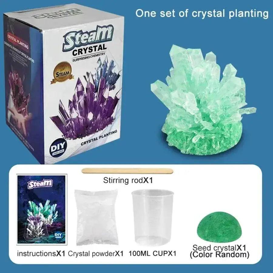  Crystal Planting Experiments Science and Education Toys DIY Growable Crystals Color Random Christmas and Halloween Gifts -  ToylandEU™