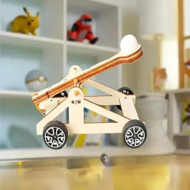  DIY Catapult Kit for Kids Hands On Physics Education -  ToylandEU™