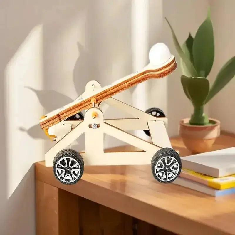  DIY Catapult Kit for Kids Hands On Physics Education -  ToylandEU™