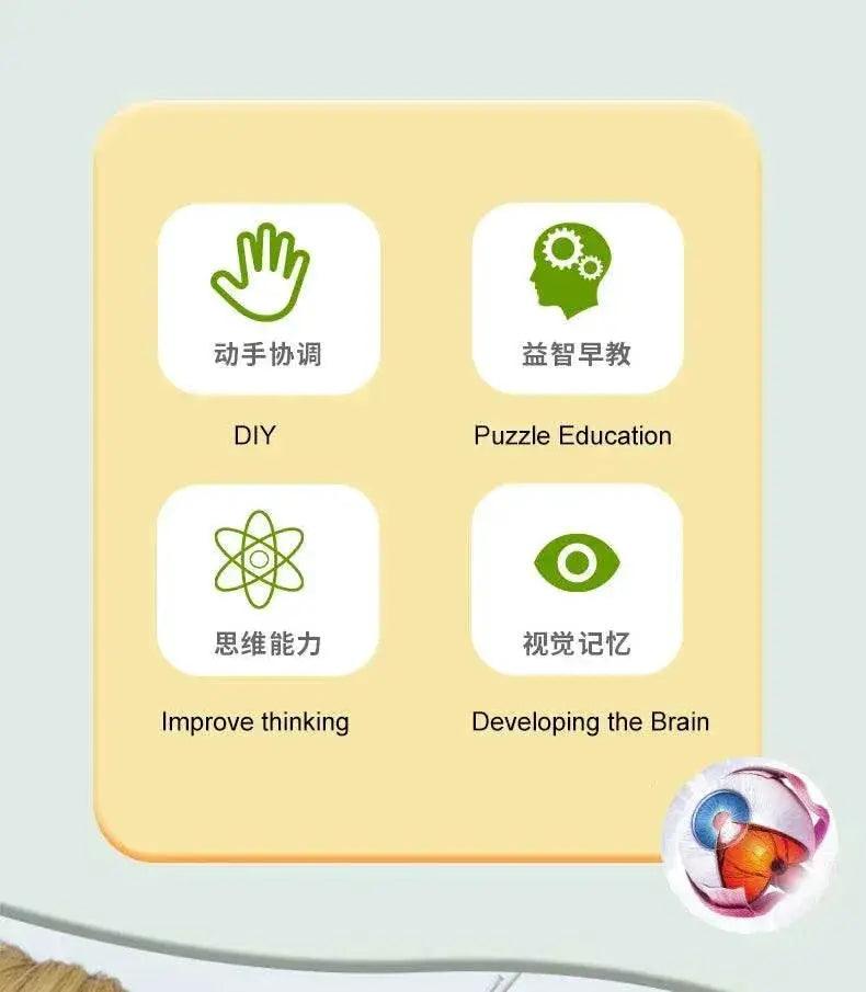  High-Quality 4D Human Brain Anatomy Model Assembly DIY For Medical Biology Studying Teaching Tool -  ToylandEU™