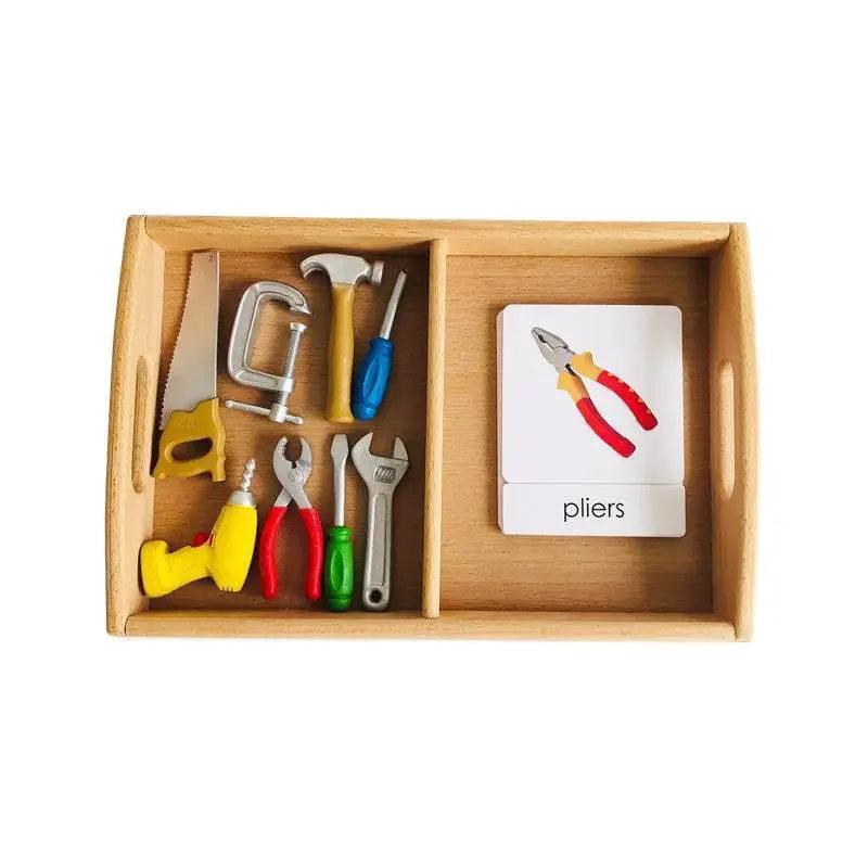  Montessori Language Models Of Human Organs 3-Part Cards Kit -  ToylandEU™