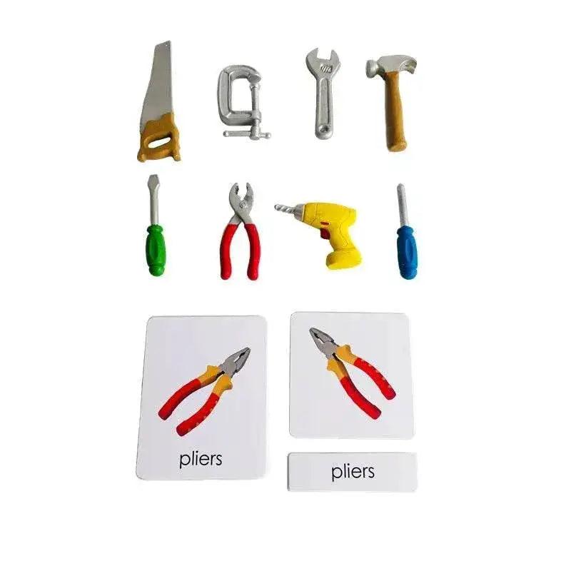  Montessori Language Models Of Human Organs 3-Part Cards Kit -  ToylandEU™