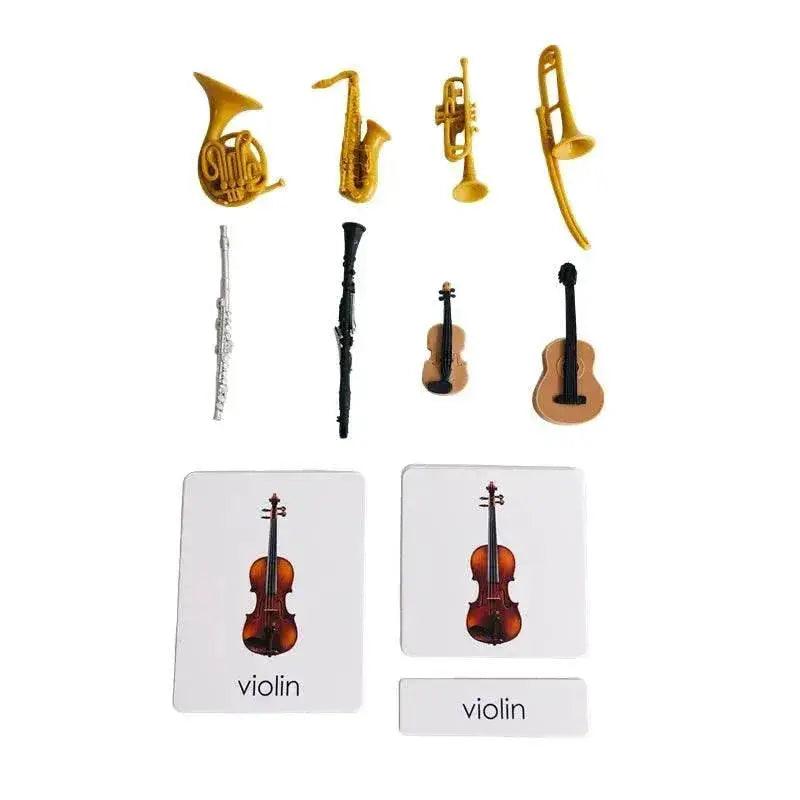  Montessori Language Models Of Human Organs 3-Part Cards Kit -  ToylandEU™