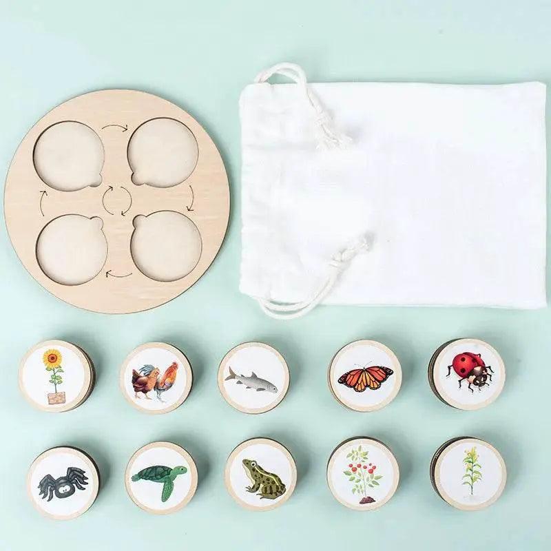  Life Cycle Montessori Kit Animal Sorting Figures -  ToylandEU™