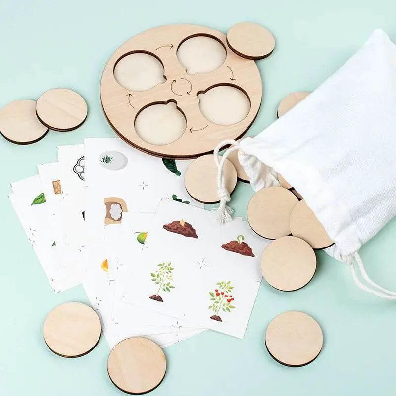  Life Cycle Montessori Kit Animal Sorting Figures -  ToylandEU™