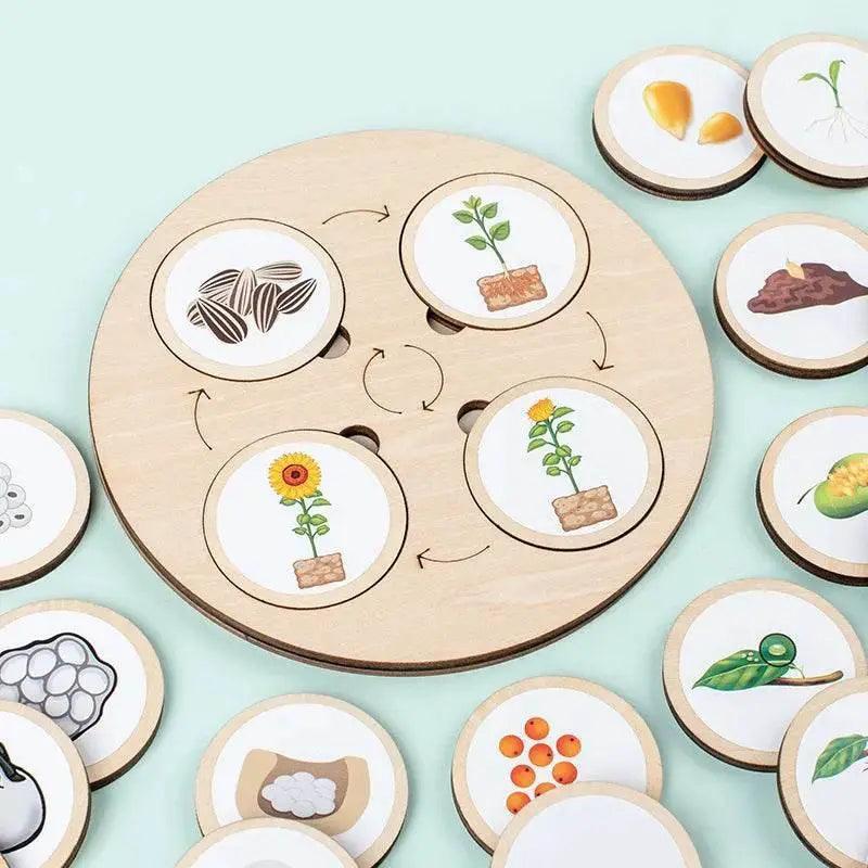  Life Cycle Montessori Kit Animal Sorting Figures -  ToylandEU™