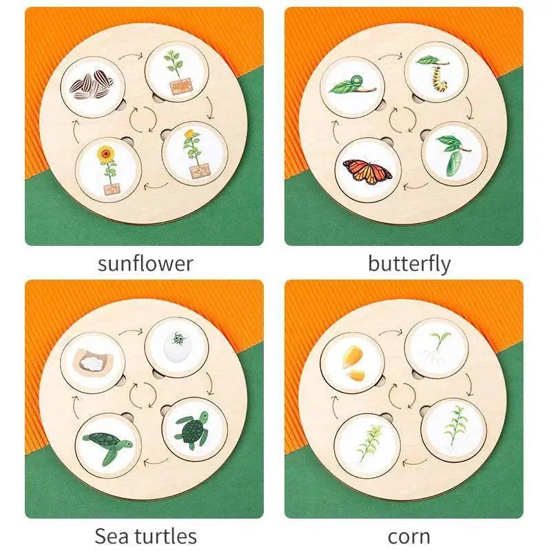  Life Cycle Montessori Kit Animal Sorting Figures -  ToylandEU™