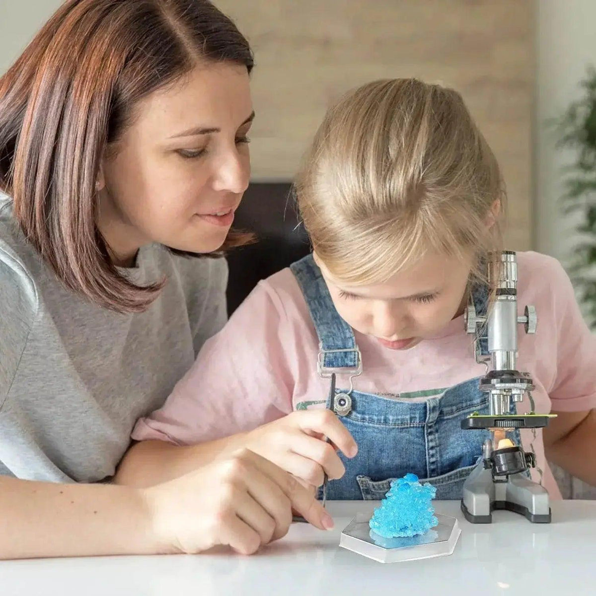 Technology Toy Crystal Planting DIY Scientific Experiment Set Fun Parent-Child Communication Chemical Crystallization Principles -  ToylandEU™