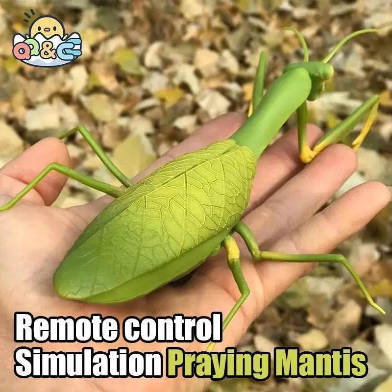  Electric Insect Robot Toy Set for Kids - Remote Control Prank Pet  -  ToylandEU™