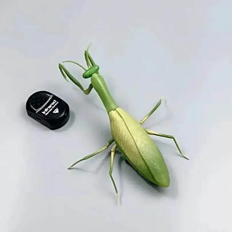  Electric Insect Robot Toy Set for Kids - Remote Control Prank Pet  -  ToylandEU™