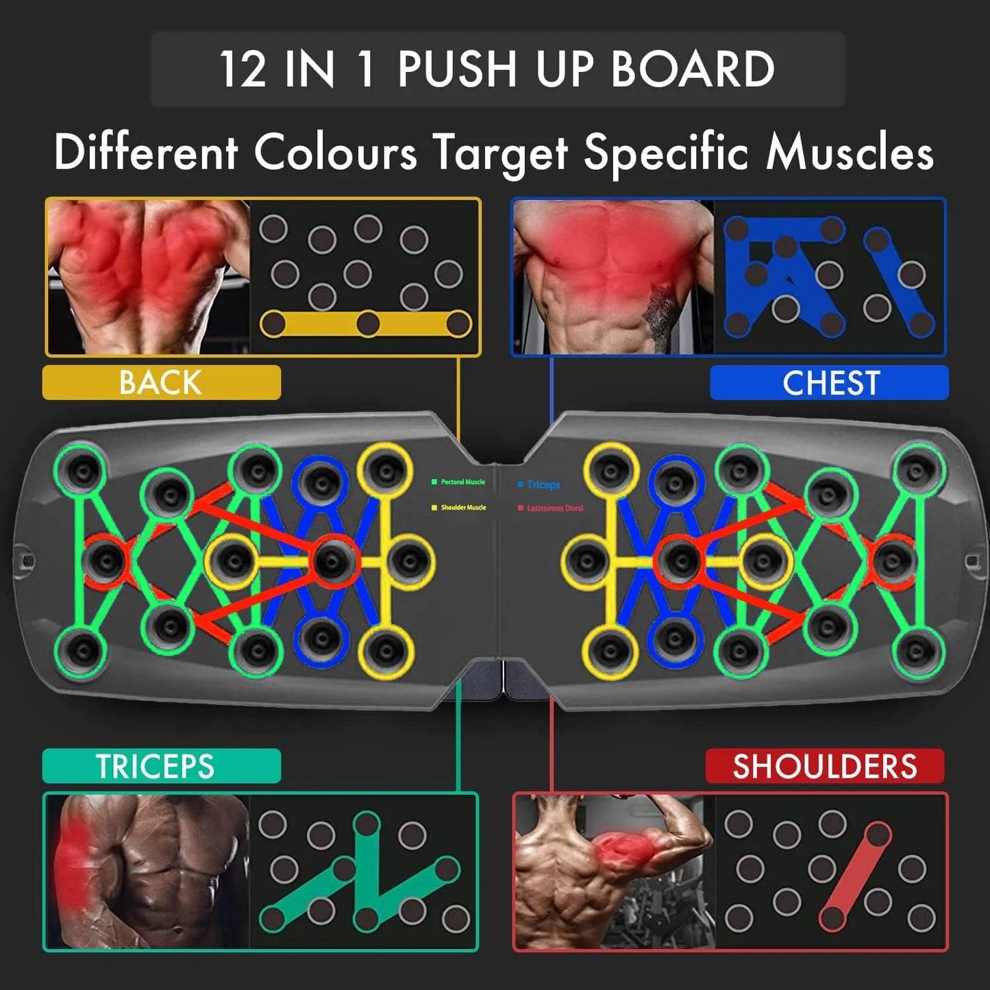 Elite Pushup Board Color Codes For Chest Back Training - ToylandEU