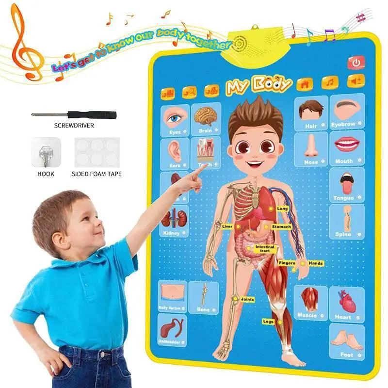  Engaging ABC Electronic Alphabet Wall Chart Toyland EU -  ToylandEU™