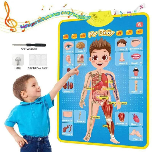  Engaging ABC Electronic Alphabet Wall Chart Toyland EU -  ToylandEU™