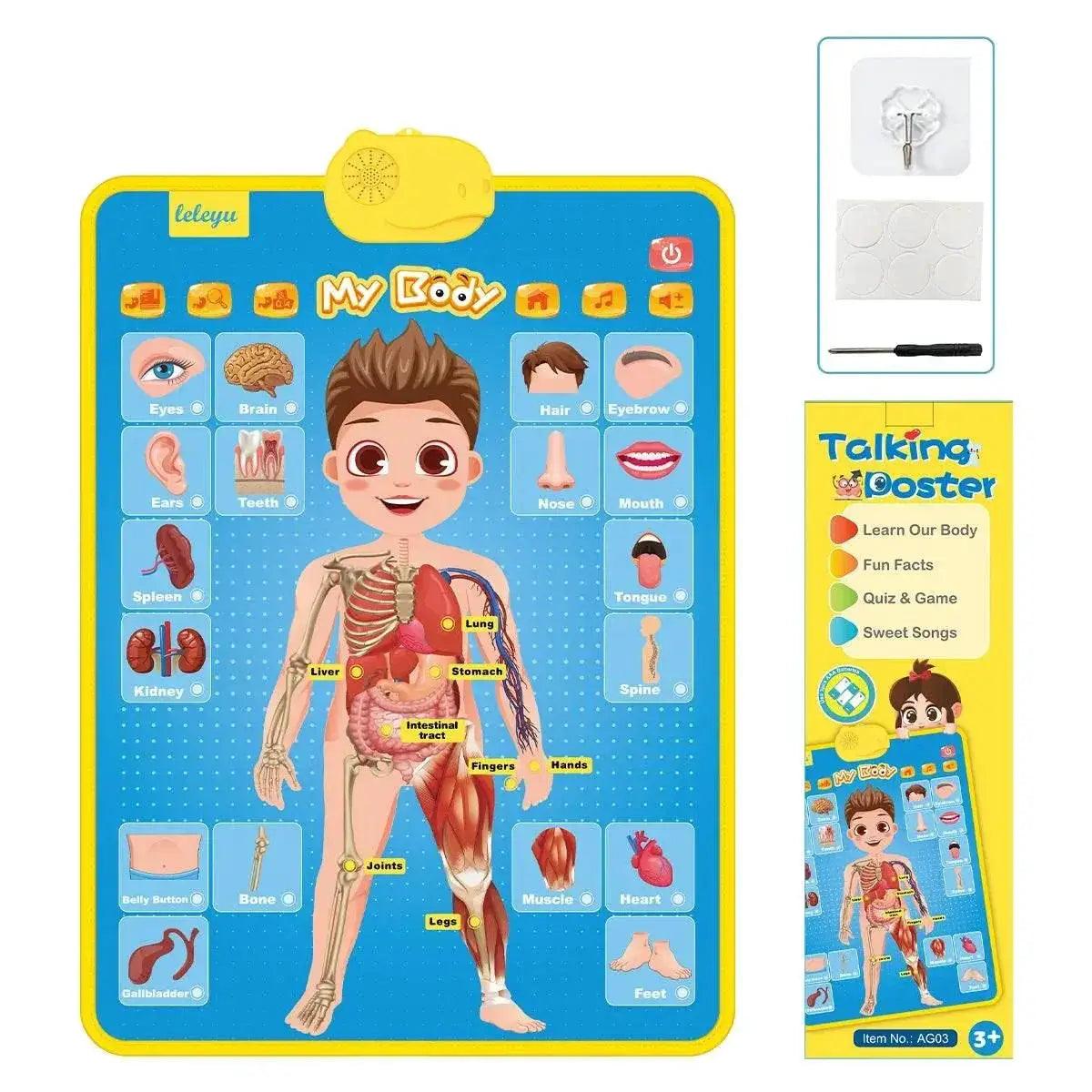  Engaging ABC Electronic Alphabet Wall Chart Toyland EU -  ToylandEU™