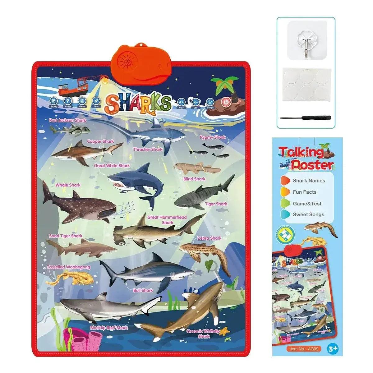  Engaging ABC Electronic Alphabet Wall Chart Toyland EU -  ToylandEU™