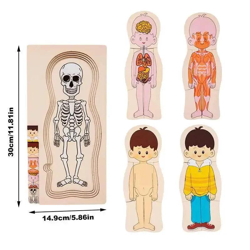  Engaging Human Body Puzzle 6Piece Wooden Kit Toyland EU -  ToylandEU™
