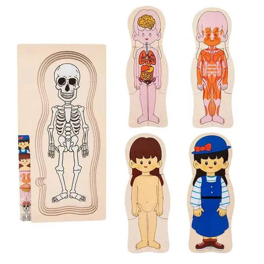  Engaging Human Body Puzzle 6Piece Wooden Kit Toyland EU -  ToylandEU™