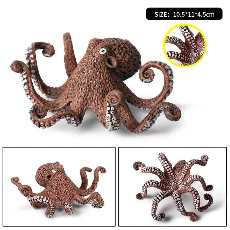  Engaging Marine Life Model Growth Cycle Set Toyland EU -  ToylandEU™