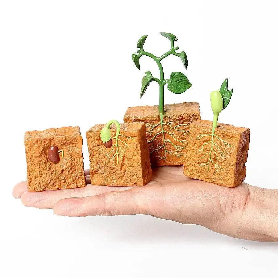  Engaging STEM Toy Life Cycle 4 Stage Kit Toyland EU -  ToylandEU™