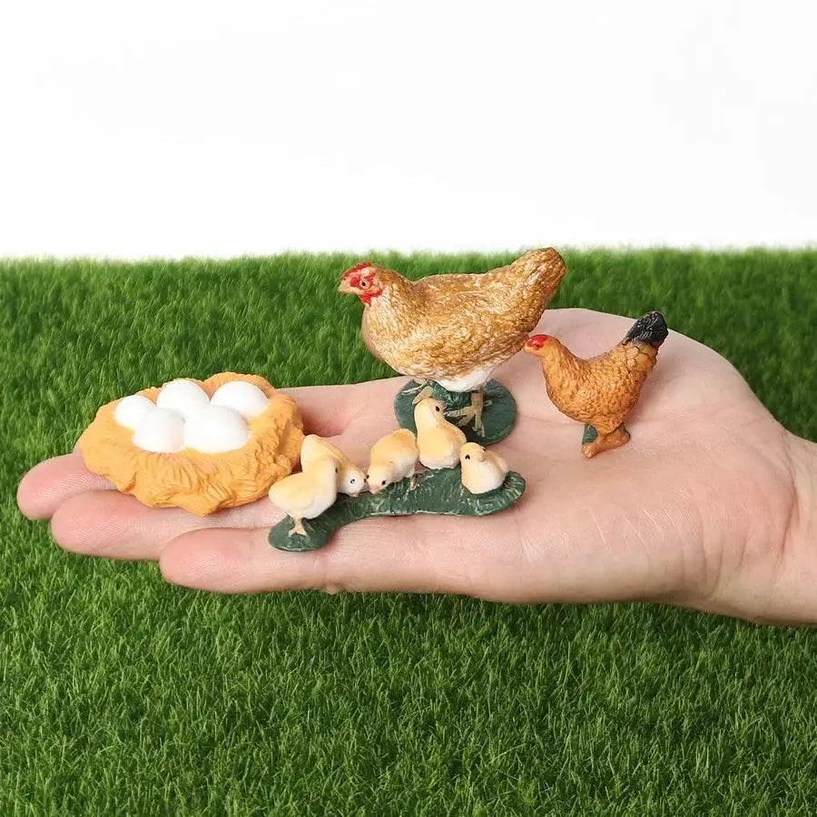  Engaging STEM Toy Life Cycle 4 Stage Kit Toyland EU -  ToylandEU™