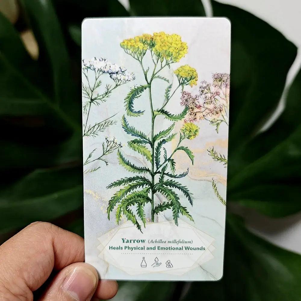  Essential Oils Healing Deck Premium Mind Body Wellness -  ToylandEU™