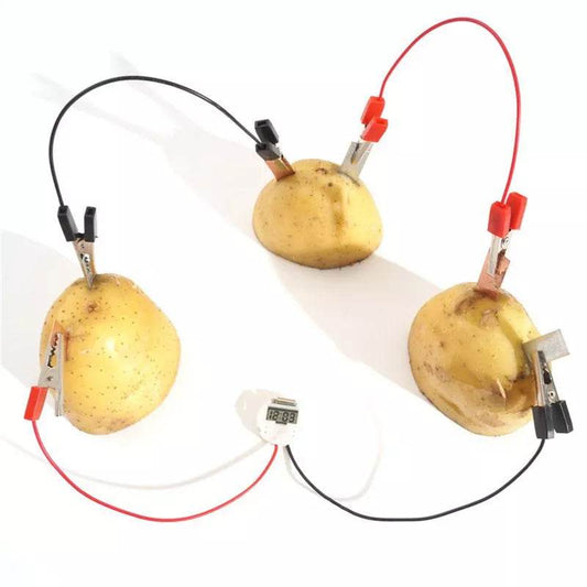 Exciting Potato Power Bioenergy Science Kit for Kids - Learn & Play! - ToylandEU