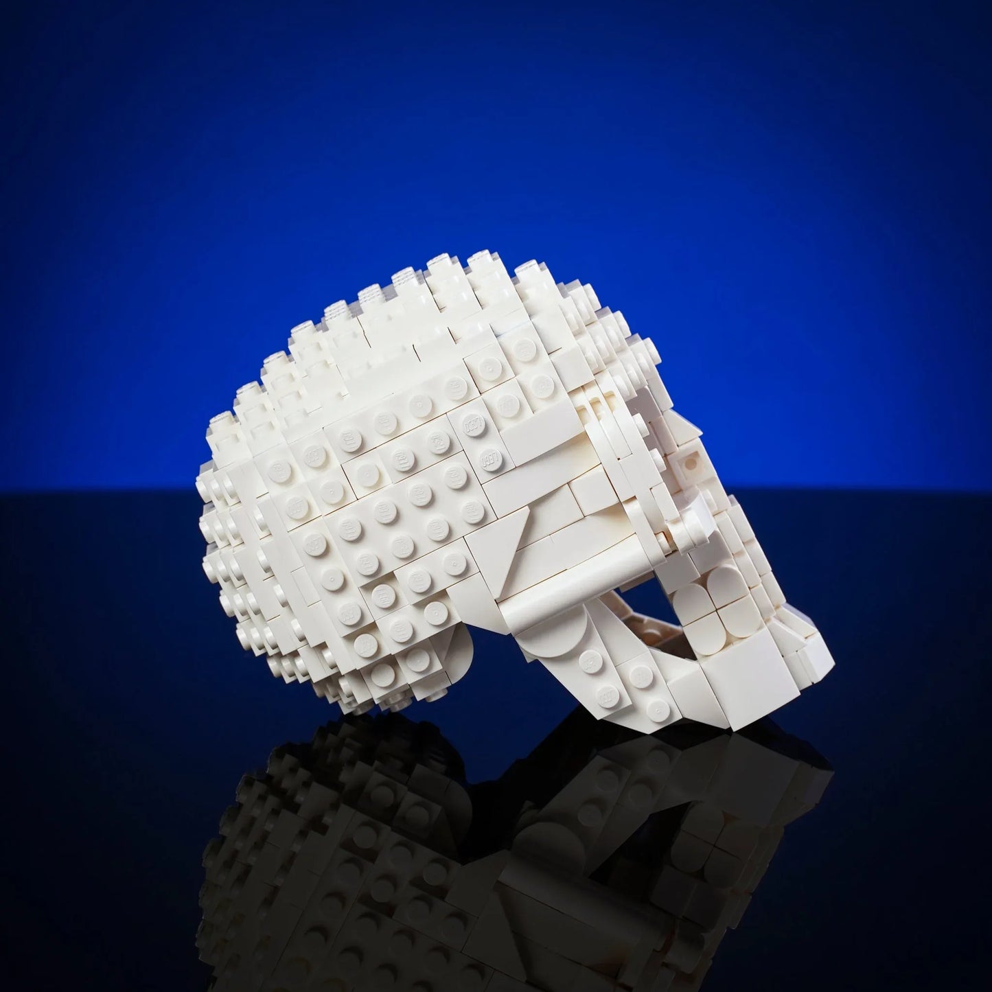 Halloween Skull Prop With Realistic Sculpting Hinged Jaw Spooky Spider - ToylandEU