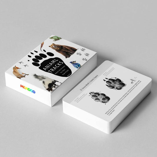 Farm Animal Footprint Flash Cards for Kids - Fun Learning for Ages 3-6 - ToylandEU