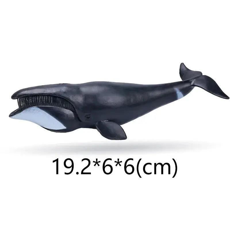  Figurine Set Zoo Animals For Kids Educational Toy -  ToylandEU™