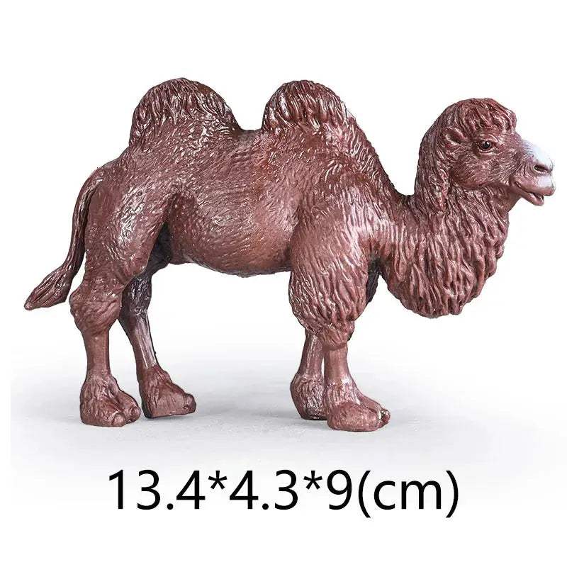  Figurine Set Zoo Animals For Kids Educational Toy -  ToylandEU™