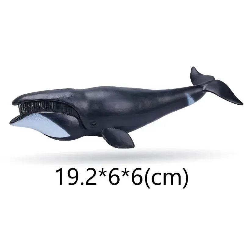  Figurine Set Zoo Animals For Kids Educational Toy -  ToylandEU™