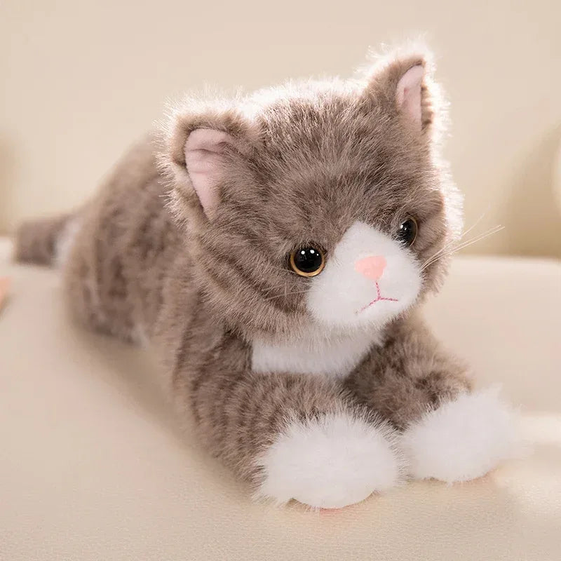 Five Color Plush Cat Toy Soft Stuffed Realistic Kitten Gift - ToylandEU