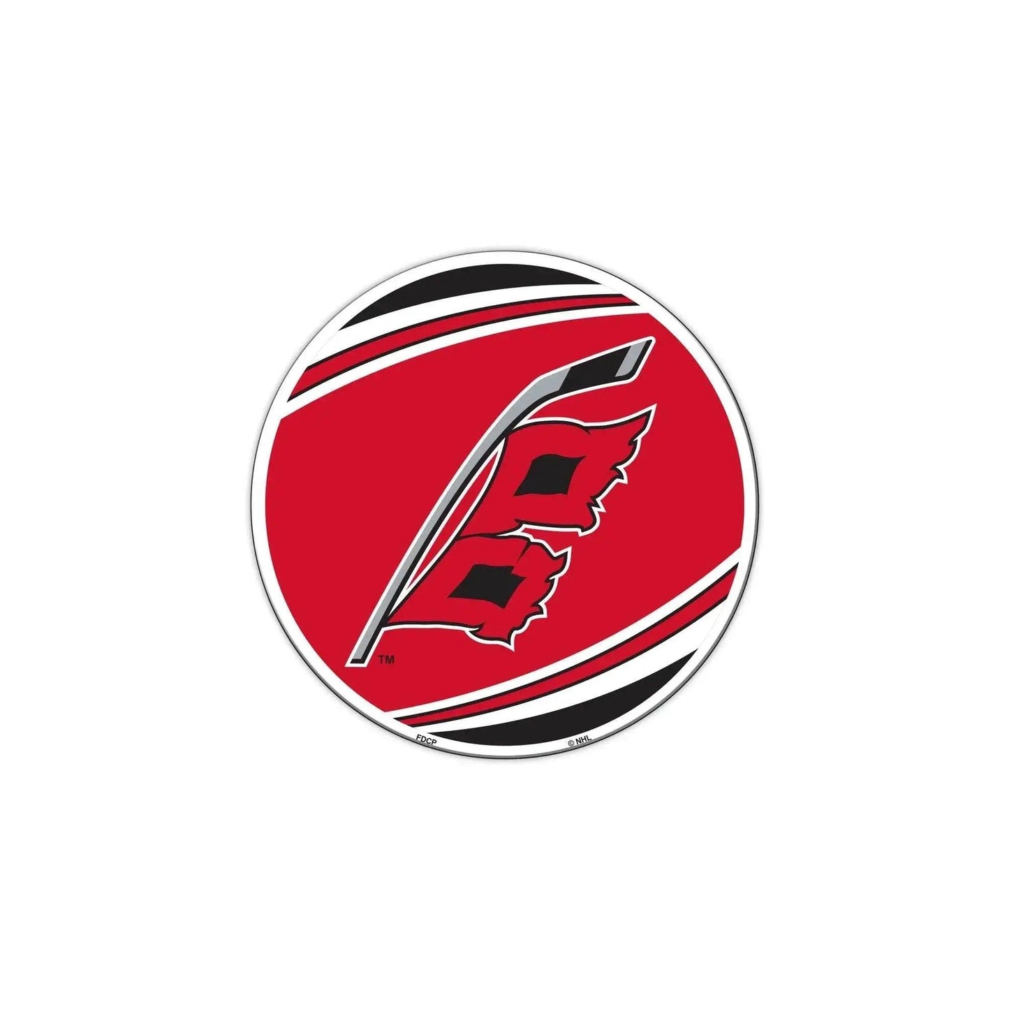  Carolina Hurricanes Car Magnet 8 Inch Flag Design Premium -  ToylandEU™