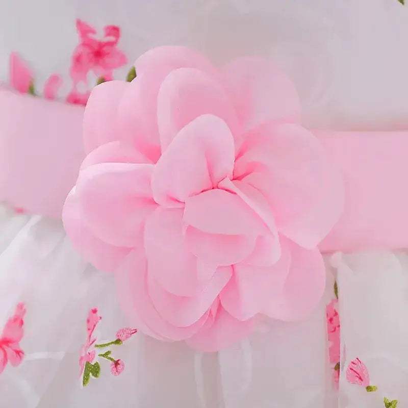 Floral Embroidered Baby Girl Dress For First Birthday - ToylandEU