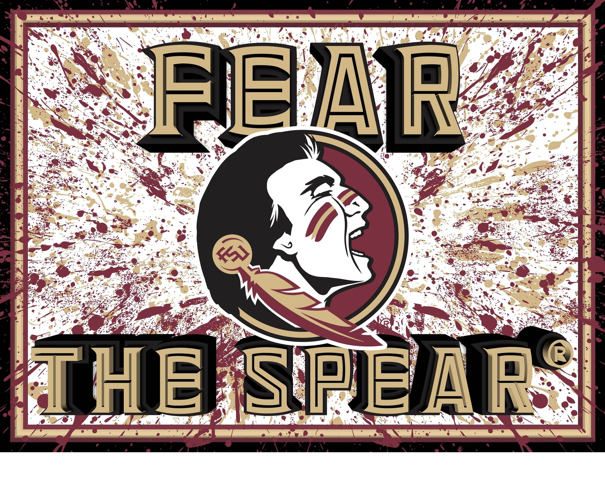 Florida State Seminoles 3D Art Print Splatter 12x16 - ToylandEU