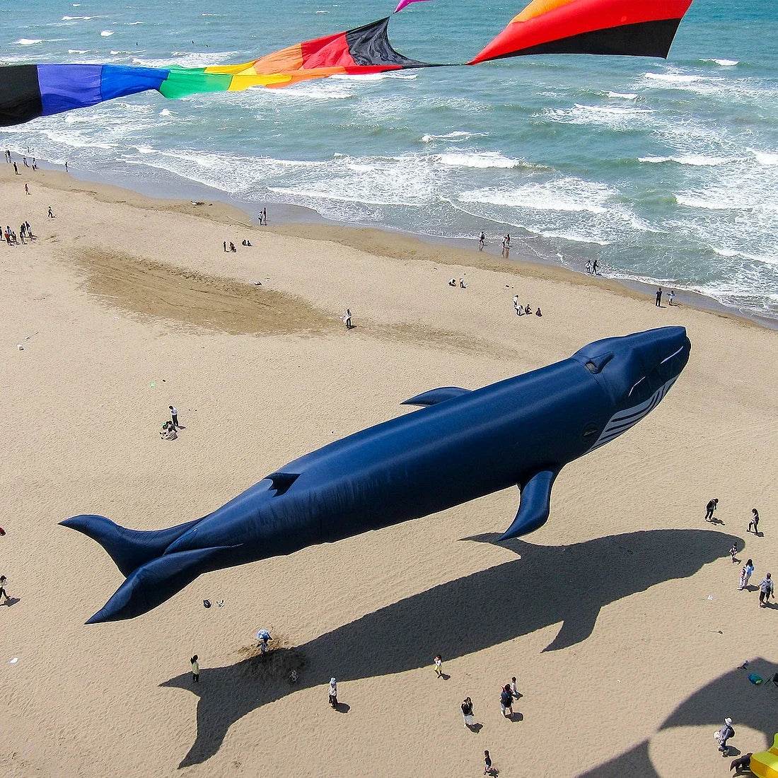 Free Delivery Kite Whale Soft 9M 30D For Beach Festivals - ToylandEU
