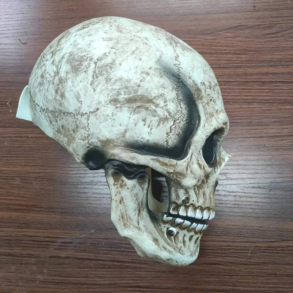  Full Face Skull Mask Movable Jaw For Halloween -  ToylandEU™