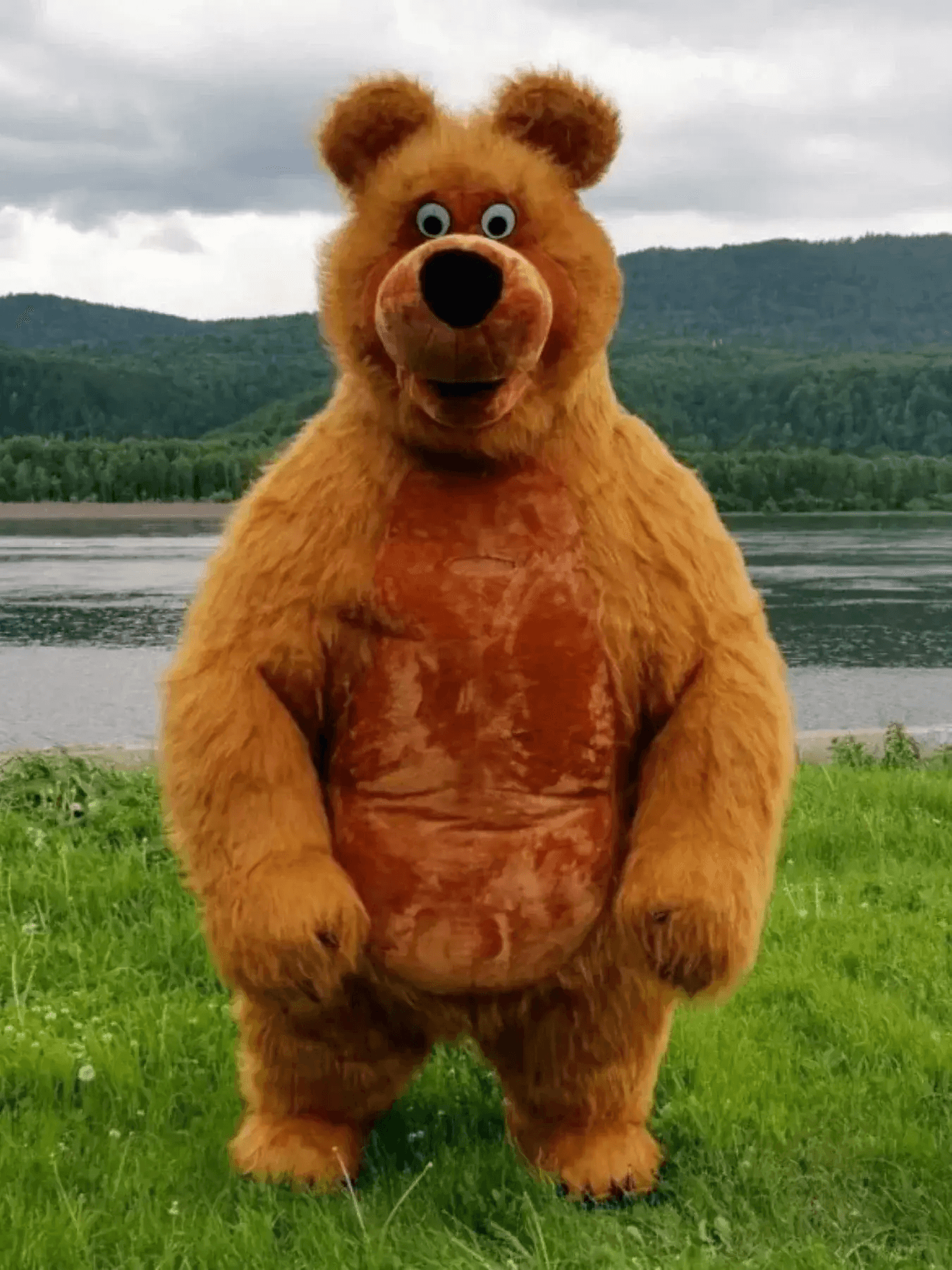  Giant Inflatable Bear Mascot Costume For Adults -  ToylandEU™