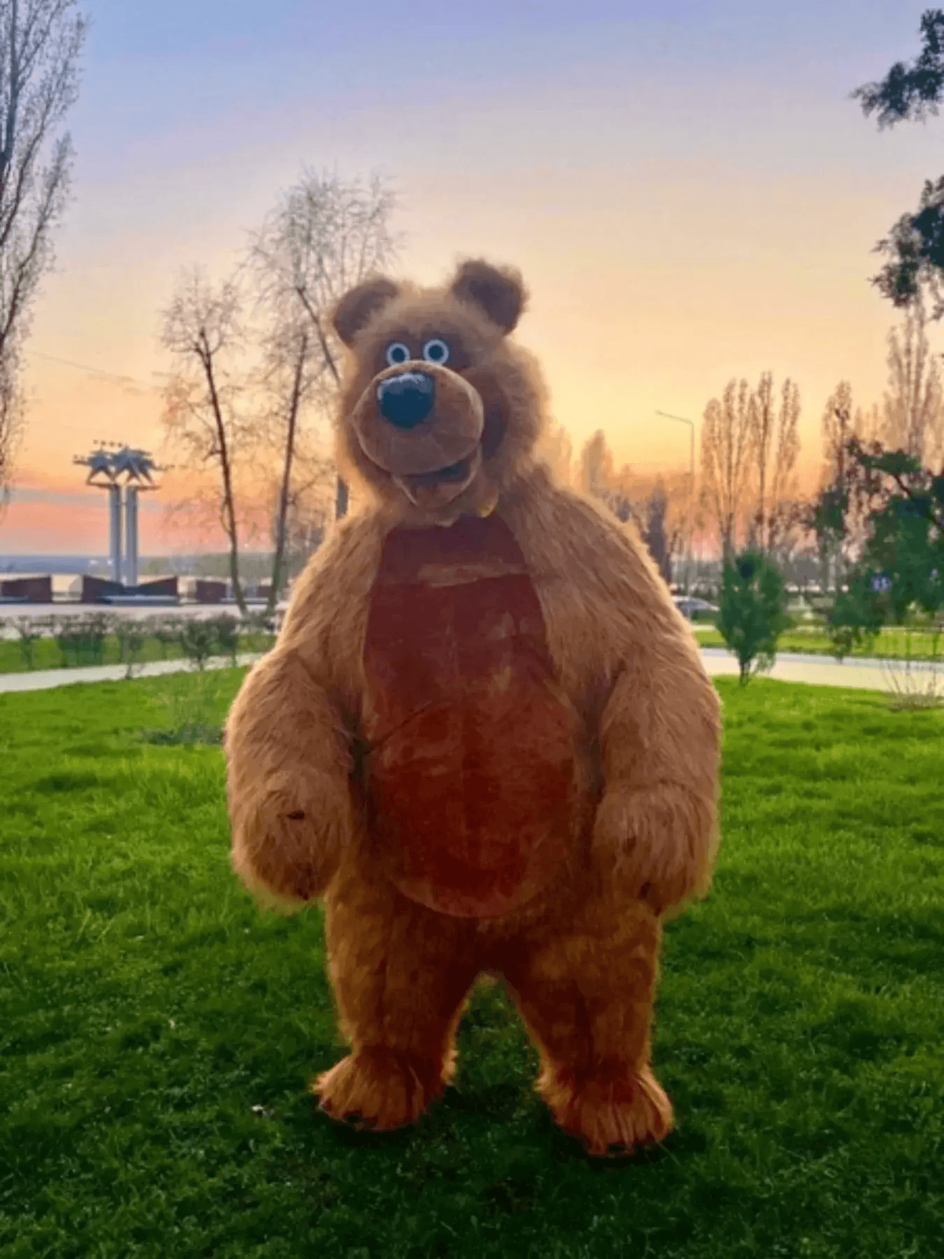  Giant Inflatable Bear Mascot Costume For Adults -  ToylandEU™