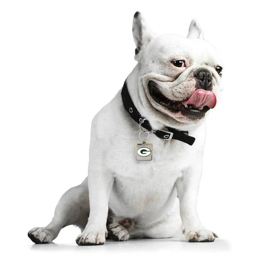  Green Bay Packers Pet Collar Charm Engravable Tag for Pets -  ToylandEU™