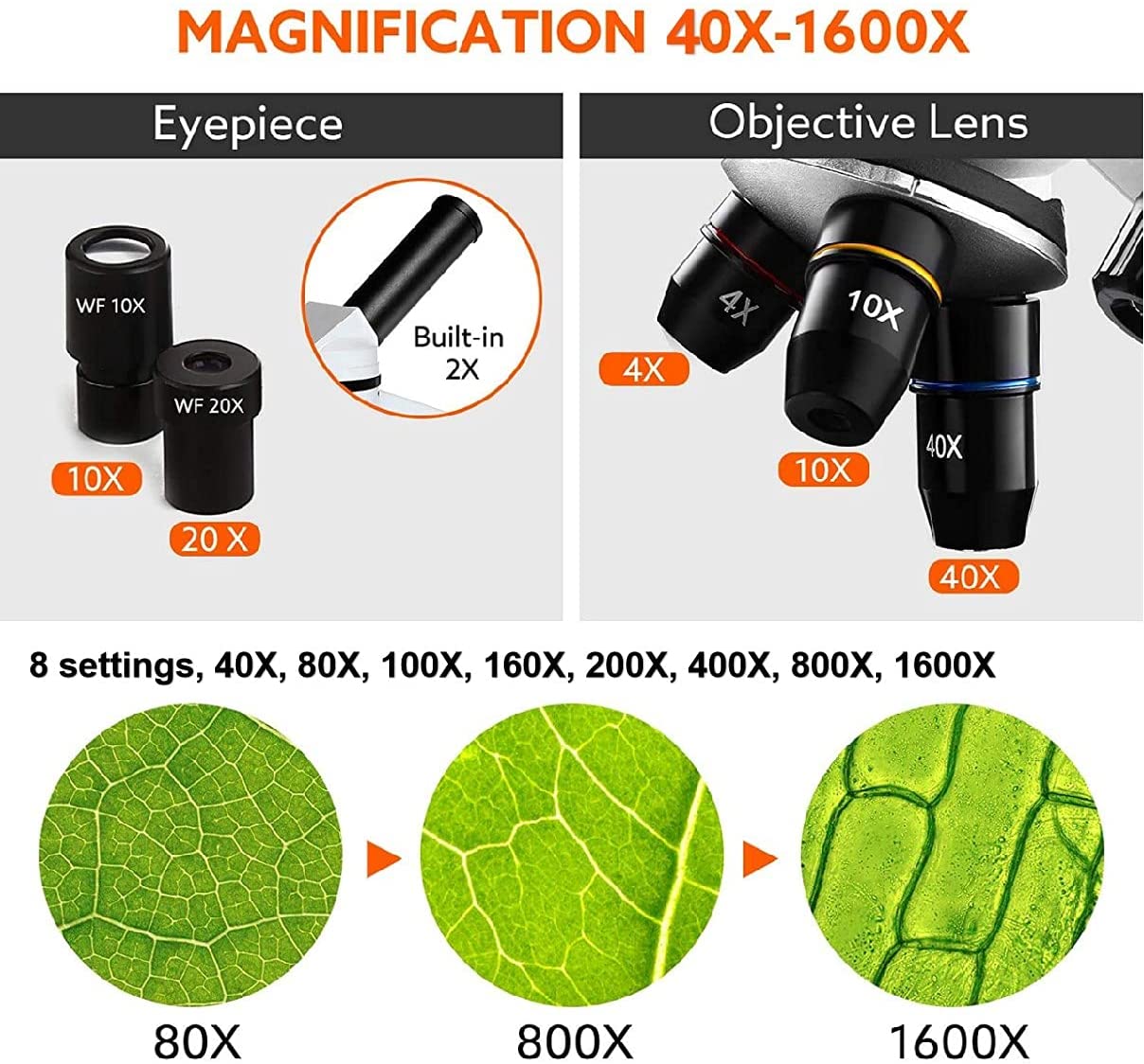 Powerful 40X-1600X Biological Microscope with Slides Set and Phone Adapter