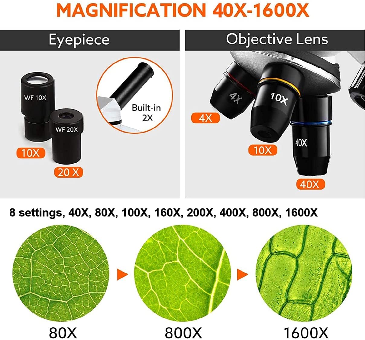 Powerful 40X-1600X Biological Microscope with Slides Set and Phone Adapter - ToylandEU